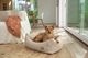 ��PALOPA��Dog Blanket Ida �ʥɥå��֥�󥱥åȡ�
