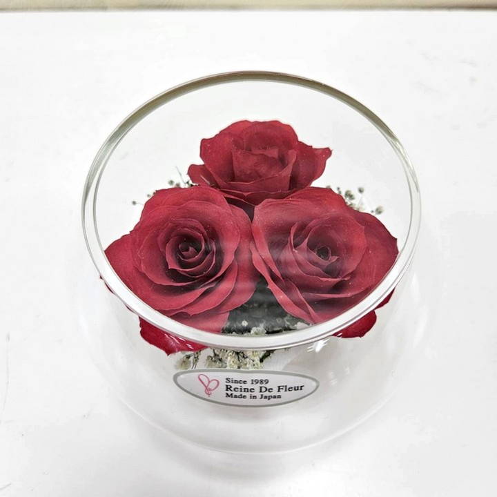 レンデフロール Bowl Type/small S-B｜雑貨04-PA