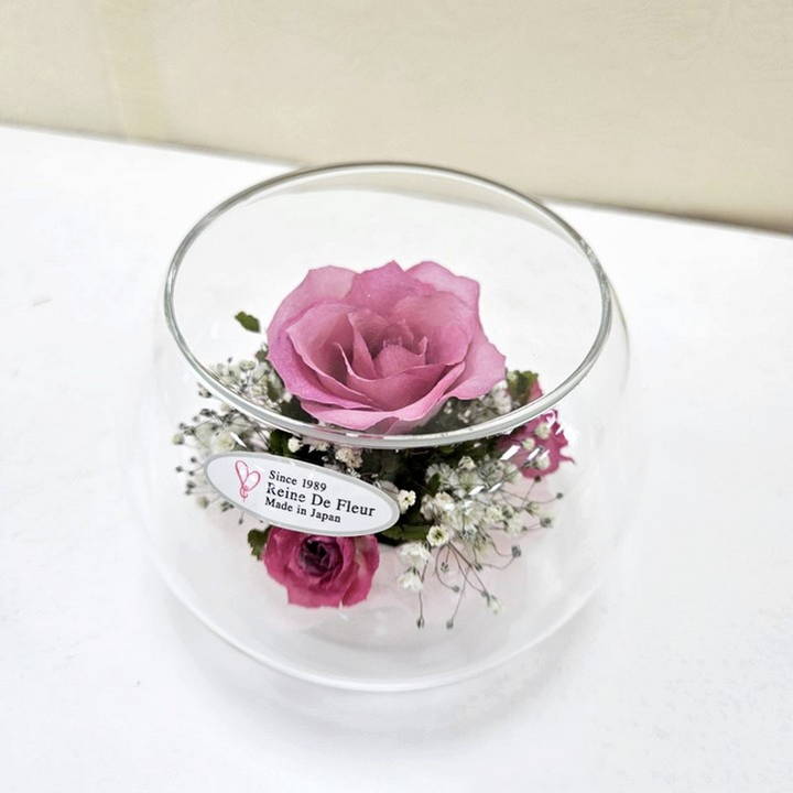 レンデフロール Bowl Type/Small S-C｜雑貨04-PA