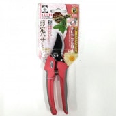 フェイジョア マンモス 6号スリット鉢（接木）｜s200｜果樹04-PA