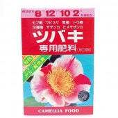 椿 ツバキ 4号 福島百合［こだわりの前田ナーセリー苗］｜花木04-PA