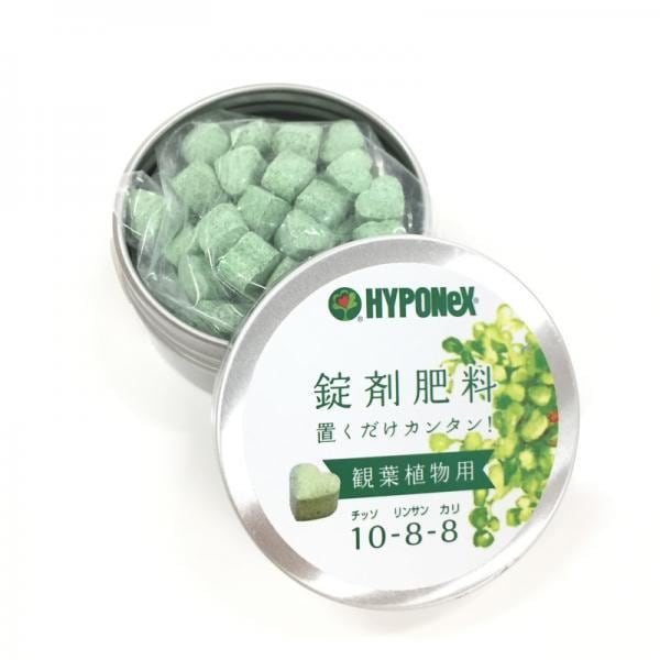 錠剤肥料置くだけカンタン 観葉植物用(HYPONEX)|資材10-TU
