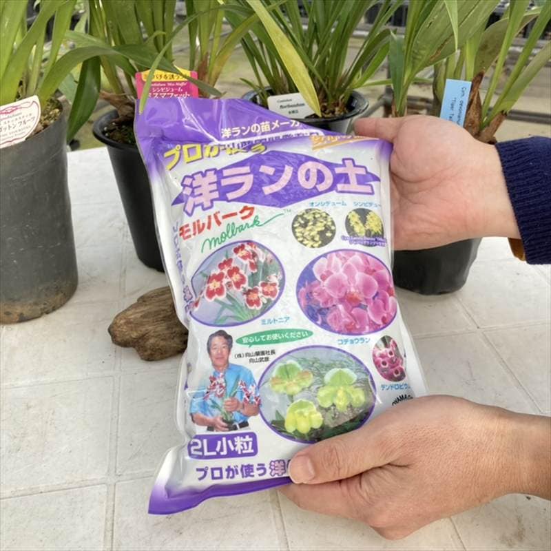 プロが使う 洋ランの土 モルバーク 2L小粒｜用土04-PA