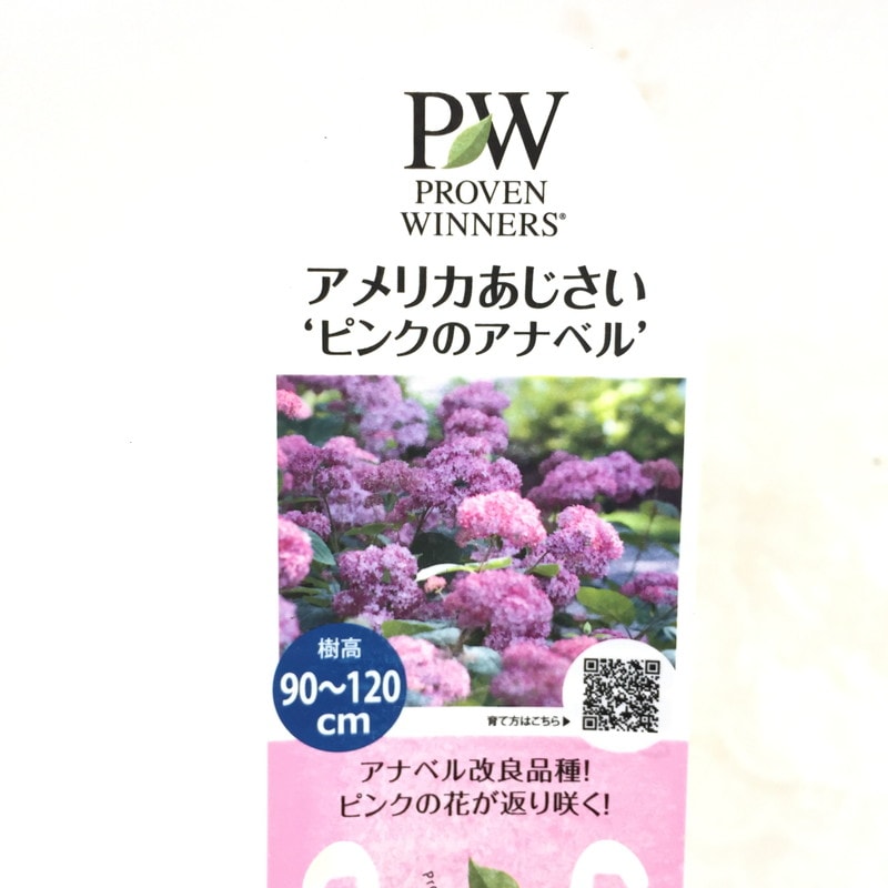 ブラック紫陽花様専用 food-village.jp
