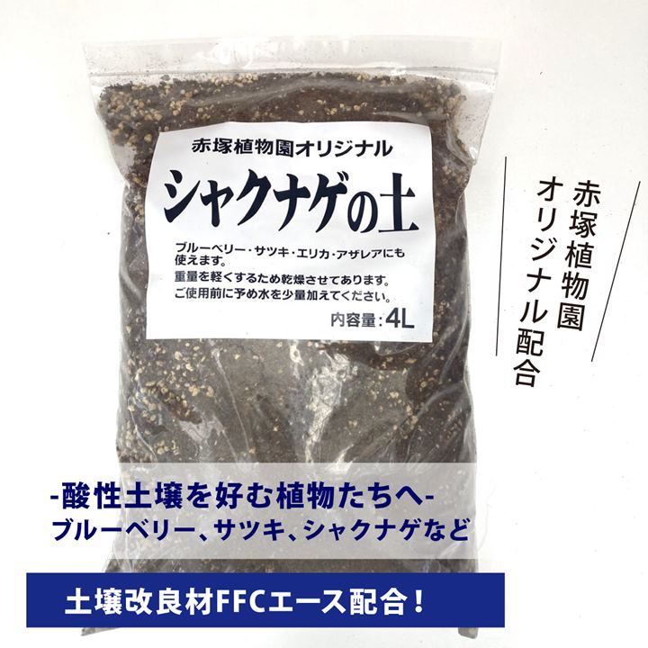 赤塚オリジナル シャクナゲの土 使い切り小容量 4L入り(植物との同梱不可)※ツツジ・サツキ・ブルーベリーにも|用土10-TU
