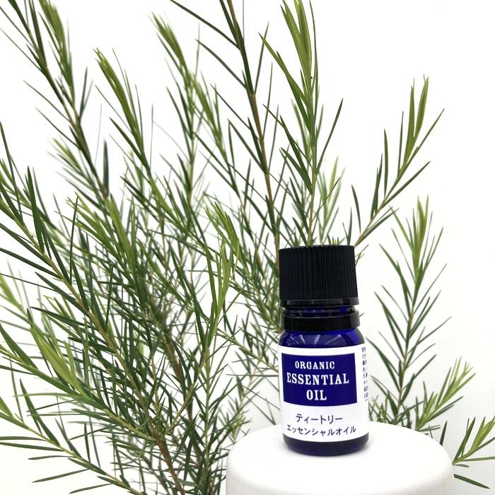 国産ティートゥリー（ティーツリー）エッセンシャルオイル 3ml（三重県産）｜雑貨10-TU