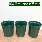 根詰まりしにくい！スリット鉢 8号ロング 3鉢セット（紺色）｜資材04