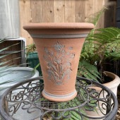 テラコッタ鉢 ウィッチフォード Whichford Species Hellebore Pot 866