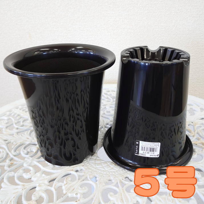 洋ラン鉢 5号 2鉢セット｜資材04-PA