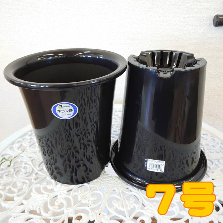 洋ラン鉢 7号 2鉢セット｜資材04-PA