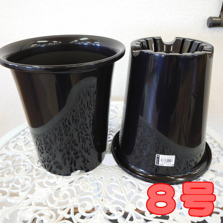 洋ラン鉢 8号 2鉢セット｜資材04-PA