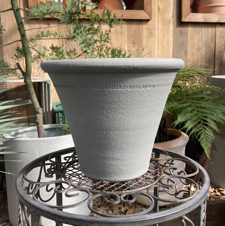 寄せ植え花　ドラゴンウィッチフォード鉢 zaijinパピエの寄せ植え♪＊本日ポイント4倍＊オススメのウィッチ