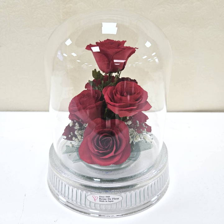 レンデフロール Dome Type G-W｜雑貨04-PA