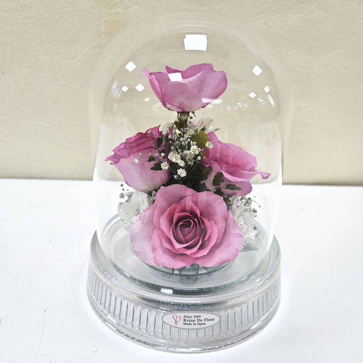 レンデフロール Dome Type G-X｜雑貨04-PA