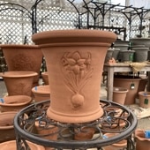 テラコッタ鉢 ウィッチフォード Whichford Herb Pan Ash 1262xa