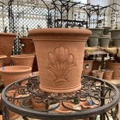 ウィッチフィールドの鉢 ウィッチフォードRHS1704RHSJekyllFlowerpot｜バラと庭あそび京阪園芸
