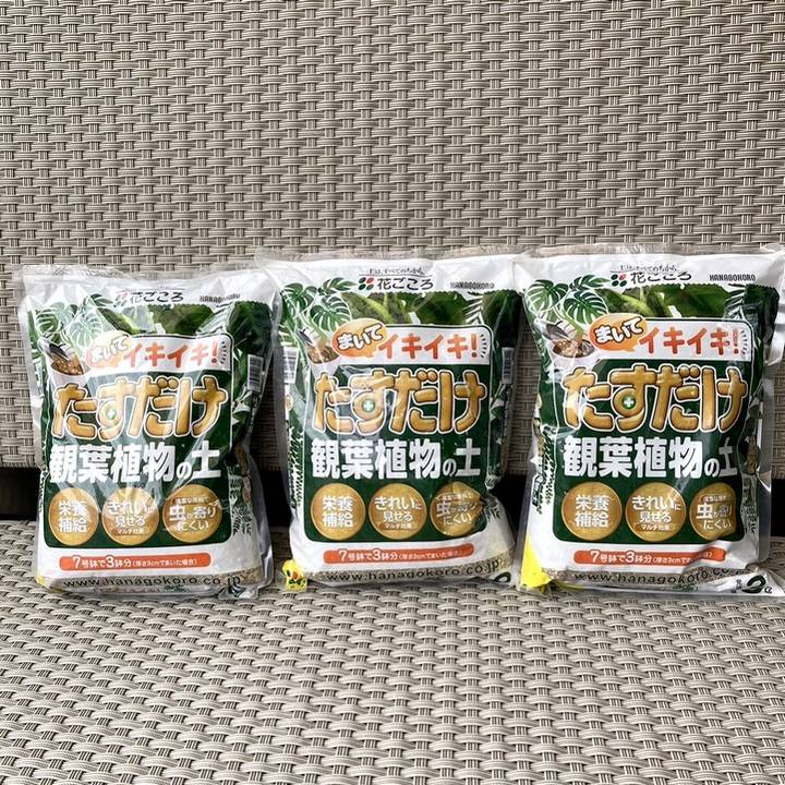 たすだけ観葉植物の土 3L 3袋セット(植物との同梱不可)|用土04-TU
