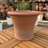 テラコッタ鉢 ウィッチフォード Whichford Species Hellebore Pot 866