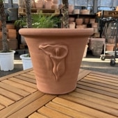 テラコッタ鉢 ウィッチフォード Whichford Marigold Pot 679（代引き