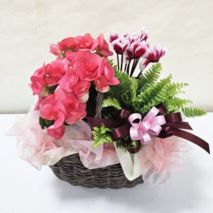 寄せ植え・アレンジ,フラワーバスケットの購入なら赤塚植物園