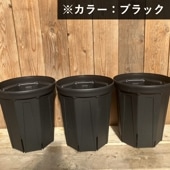 洋ラン鉢 7号 2鉢セット｜資材04-PA | ガーデンツール・資材,鉢