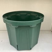 ソテツ　幹太　2鉢セット❗　① 根詰まりしにくい！スリット鉢 約13号 CSM-400（カラー：ブラック