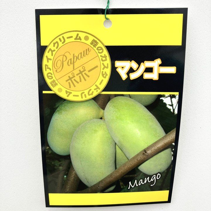 果樹,ポポーの購入なら赤塚植物園オンライン 花の音｜花苗