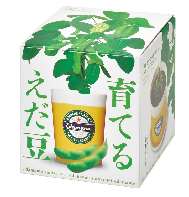 育てる えだ豆 栽培キット|タネ04-PA