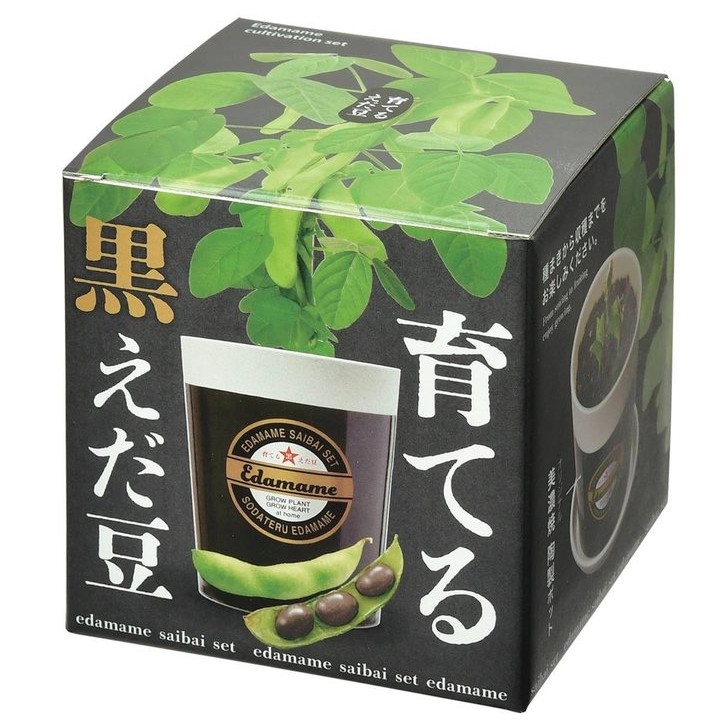 育てる 黒えだ豆 栽培キット｜タネ04-PA