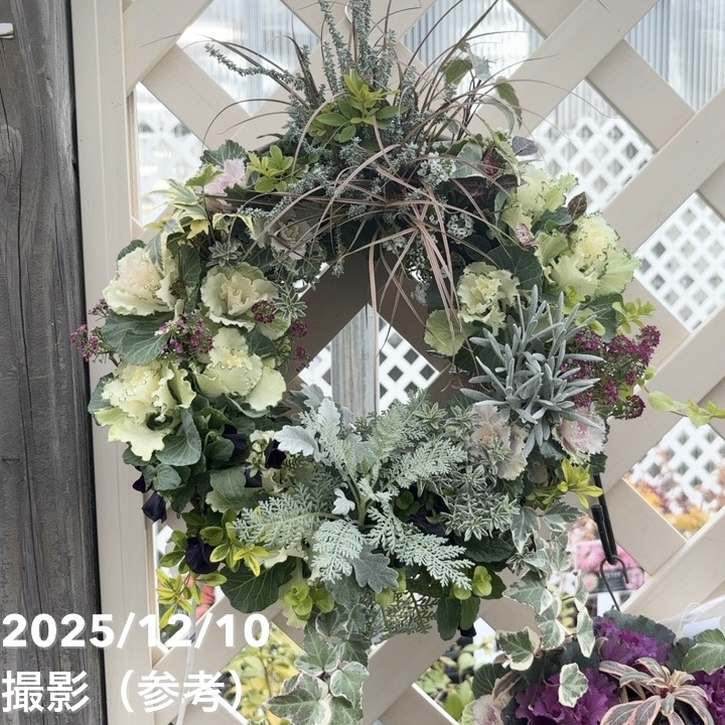 寄せ植え・アレンジ,寄せ植えの購入なら赤塚植物園オンライン 花の音