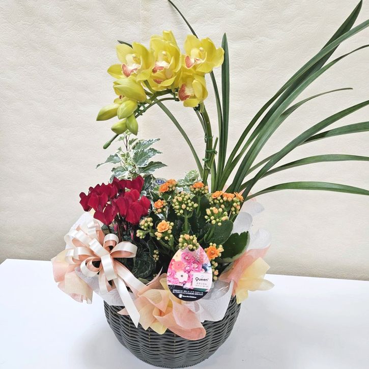 冬ギフト フラワーバスケットアレンジ｜手作04-PA