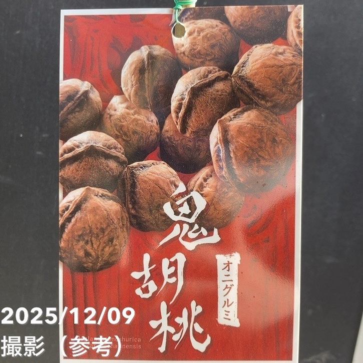 クルミ 鬼胡桃 オニグルミ 5号｜果樹04-PA | 果樹,ナッツ類 | 赤塚