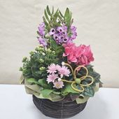 ハンドメイド梅 it-65464eb97aa0e-1200.jpg