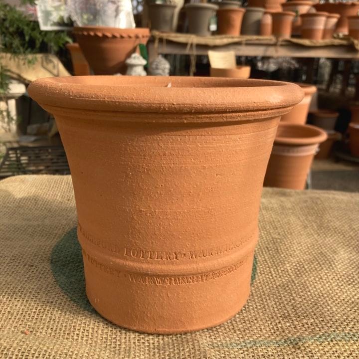 テラコッタ鉢 ウィッチフォード Whichford Buxus Pot 6416（代引き不可