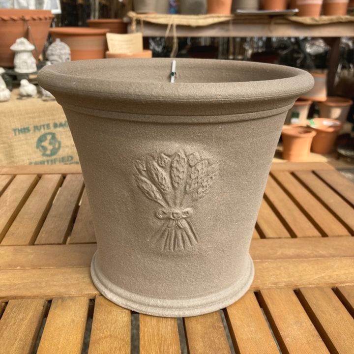 ウィッチフォード Hidcote Lavender pot 797xa