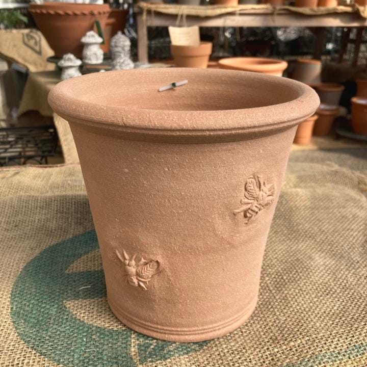 ウィッチフォード