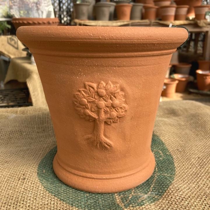 テラコッタ鉢 ウィッチフォード Whichford Wisley Apple Tree Pot