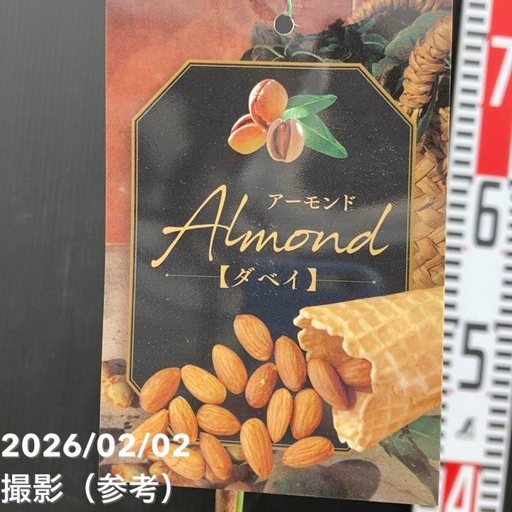 アーモンド ダベイ 5号｜果樹04-PA