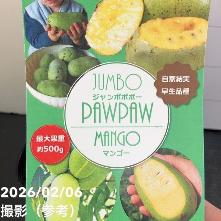 ジャンボポポー