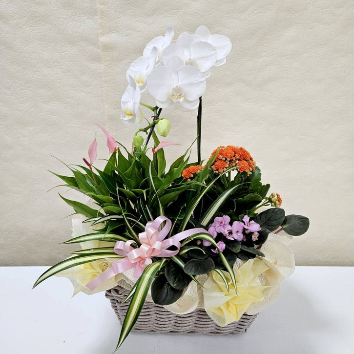 フラワーバスケットB