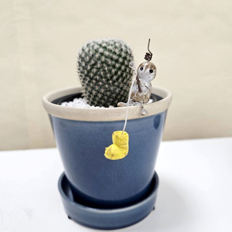 寄せ植え・アレンジ,フラワーバスケットの購入なら赤塚植物園