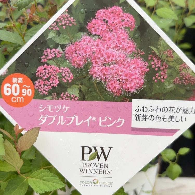 □キーワードから探す,日本ミツバチ,蜜源植物の購入なら赤塚植物園