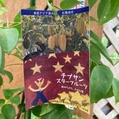 プラム バイオチェリー 5号ポット｜果樹04-PA | 果樹,プラム・スモモ