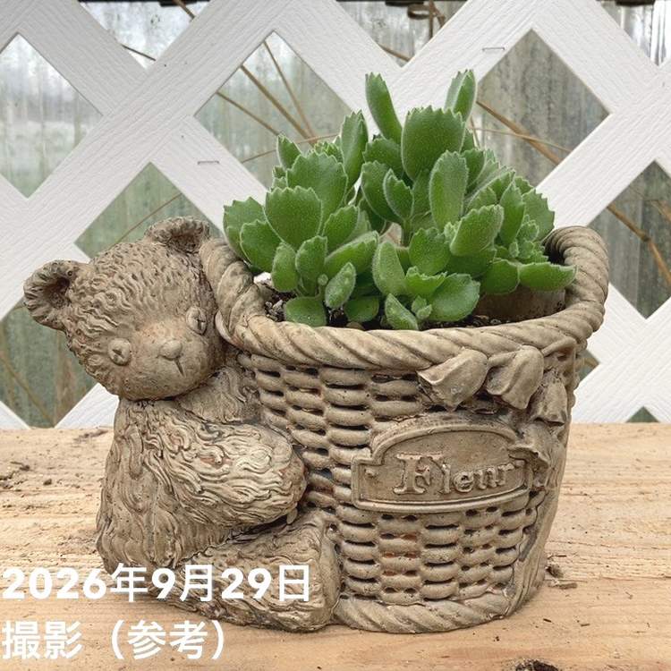 お庭を演出♪ 英国式陶器鉢ウィッチフォード新商品入荷しました！