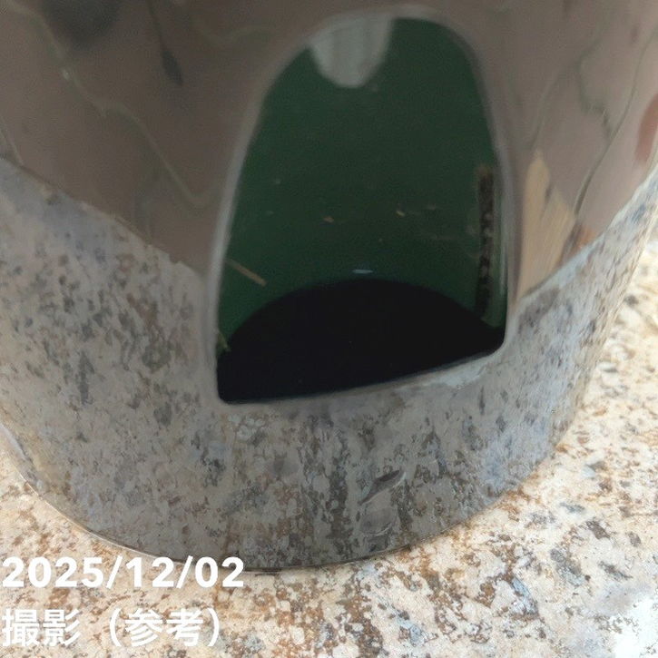 ブルーシクラメン セレナーディア 八重咲きのライラックフリル 4号 PVP|鉢花04-PA