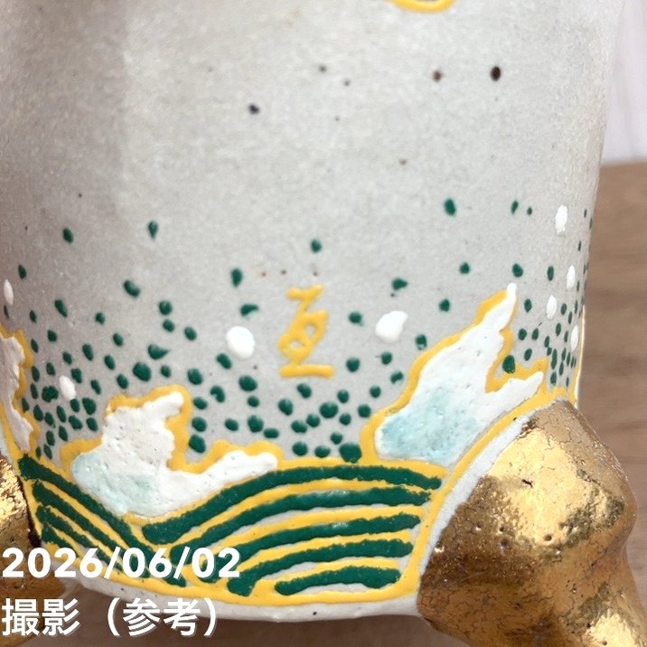 万年青　オモト　新生殿 現品お届け】豊明園 万年青 オモト 新生殿（しんせいでん）錦鉢（O81