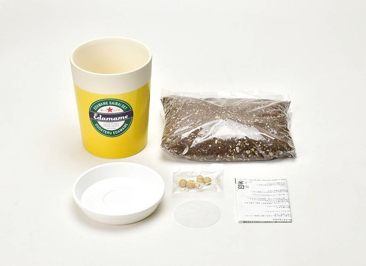 育てる えだ豆 栽培キット|タネ04-PA