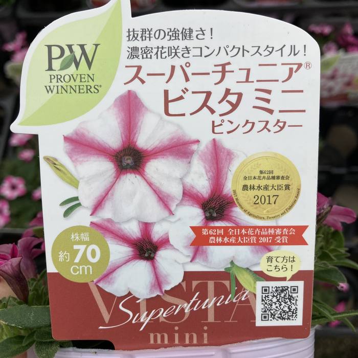 PW スーパーチュニア ビスタミニ ピンクスター 3.5号×3株セット｜草花