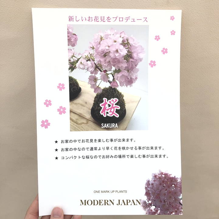 一才桜 旭山 4号 楕円樹脂鉢｜花木04-PA | 花木・庭木,サクラ・梅