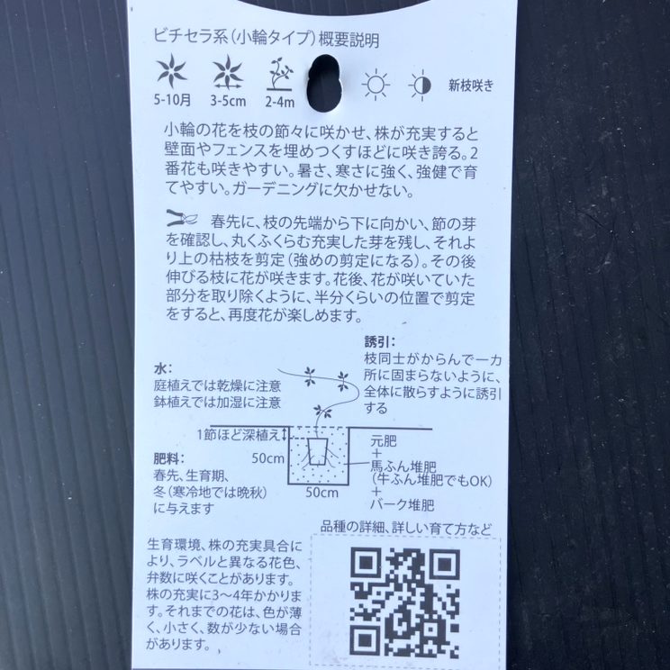 クレマチス ビチセラ系 ホーゲルビー・ピンク 4号｜草花04-PA | 草花